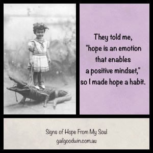 signs of hope by gail goodwin 2014