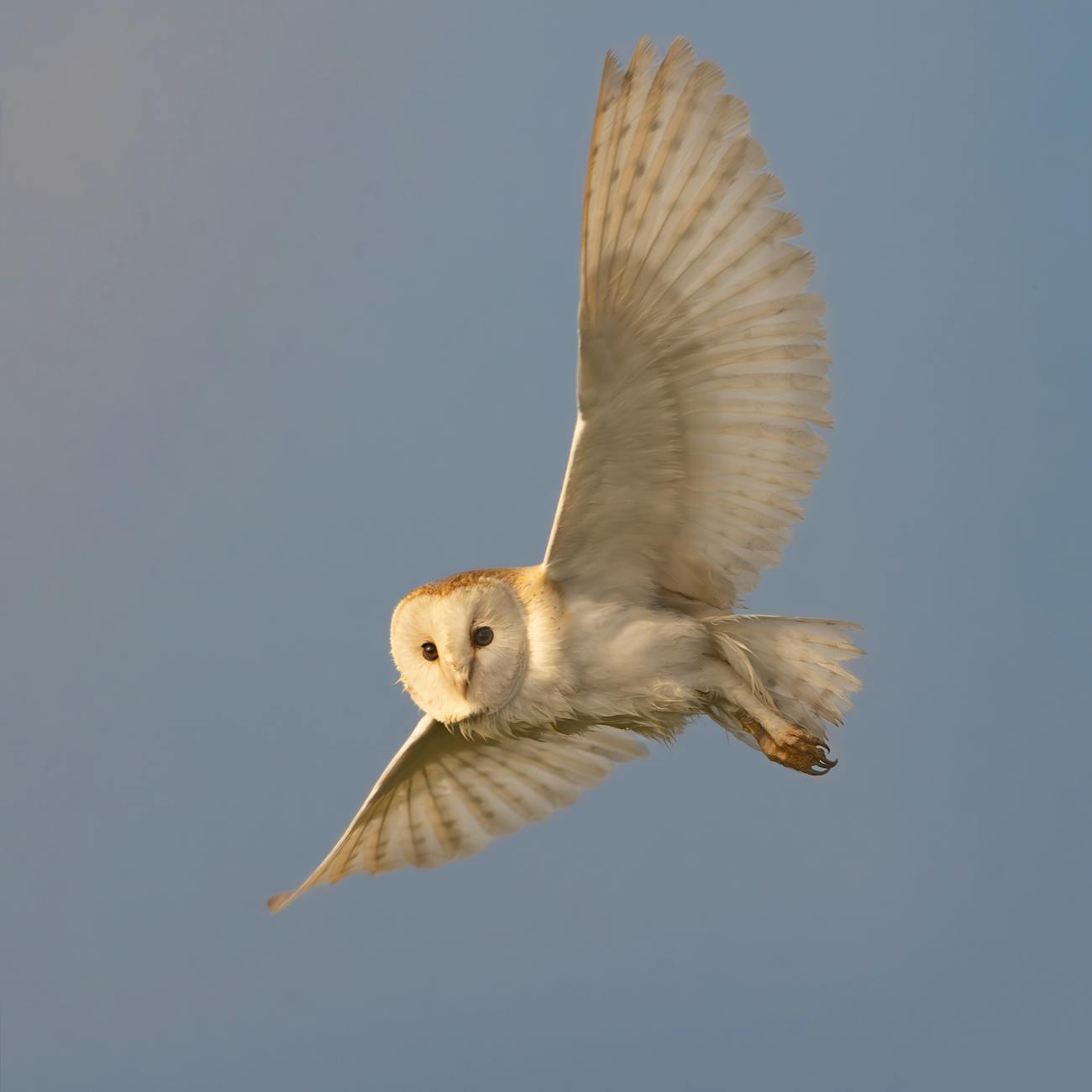 Your twenty-four temporary archetypes are the wings of your twelve permanent archetypes.